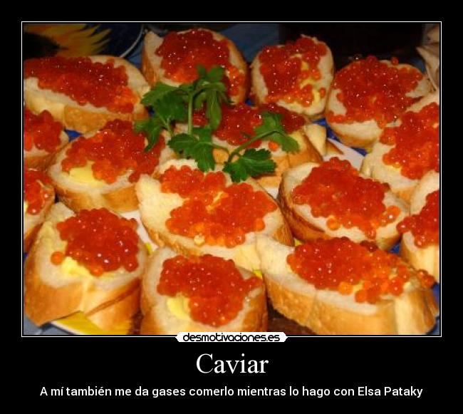 carteles caviar elsa pataky desmotivaciones