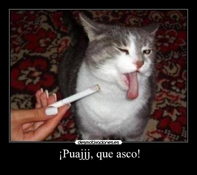 ¡Puajjj, que asco! - 