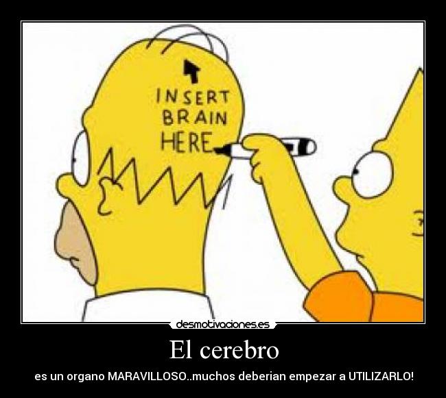 El cerebro - es un organo MARAVILLOSO..muchos deberian empezar a UTILIZARLO!