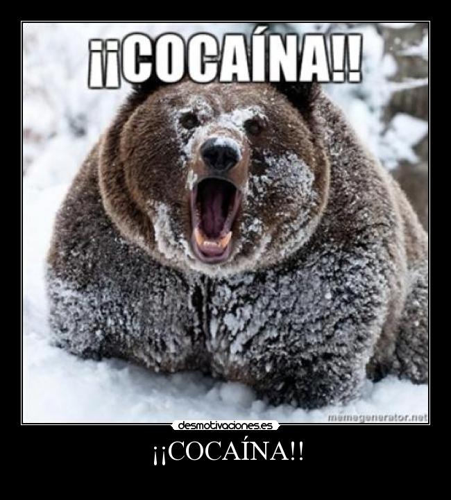 carteles cocaina desmotivaciones