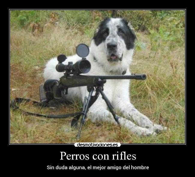 Perros con rifles - Sin duda alguna, el mejor amigo del hombre