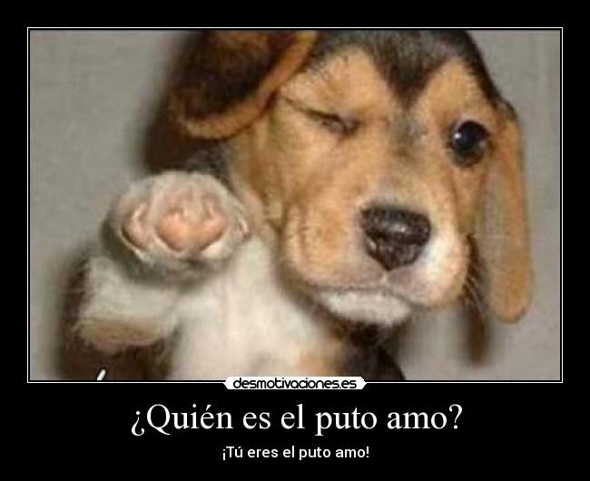 ¿Quién es el puto amo? - ¡Tú eres el puto amo!