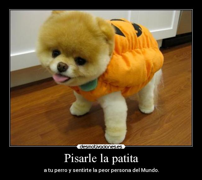 Pisarle la patita - 