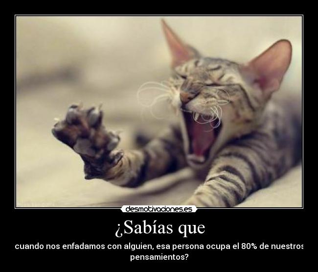 ¿Sabías que - cuando nos enfadamos con alguien, esa persona ocupa el 80% de nuestros
pensamientos?