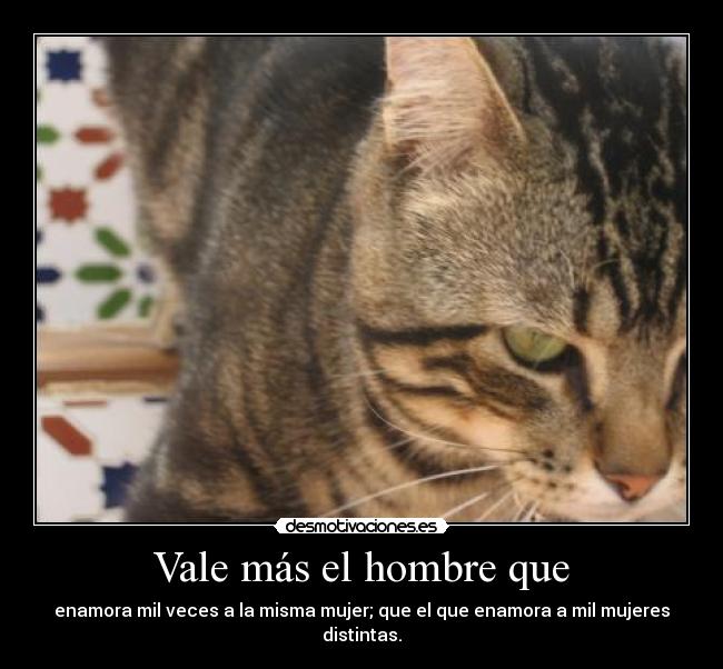 carteles minino salvaje cara sonriente desmotivaciones