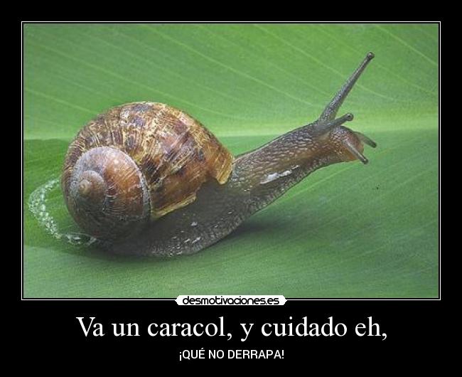Va un caracol, y cuidado eh, - ¡QUÉ NO DERRAPA!