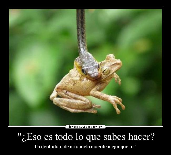 carteles ranas nivel desmotivaciones