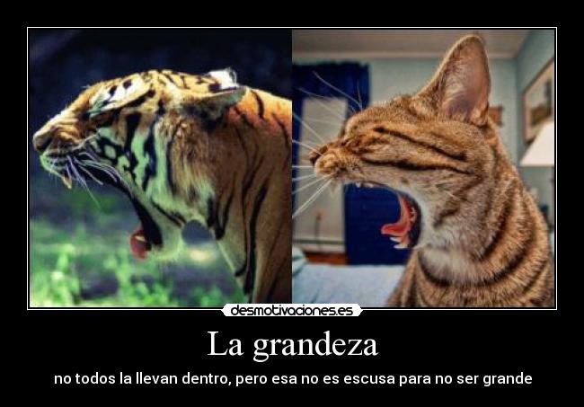 carteles grandeza siempre esta dentro desmotivaciones
