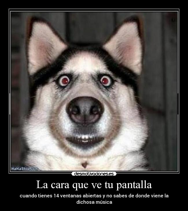 carteles perro musica ventanas abiertas desmotivaciones