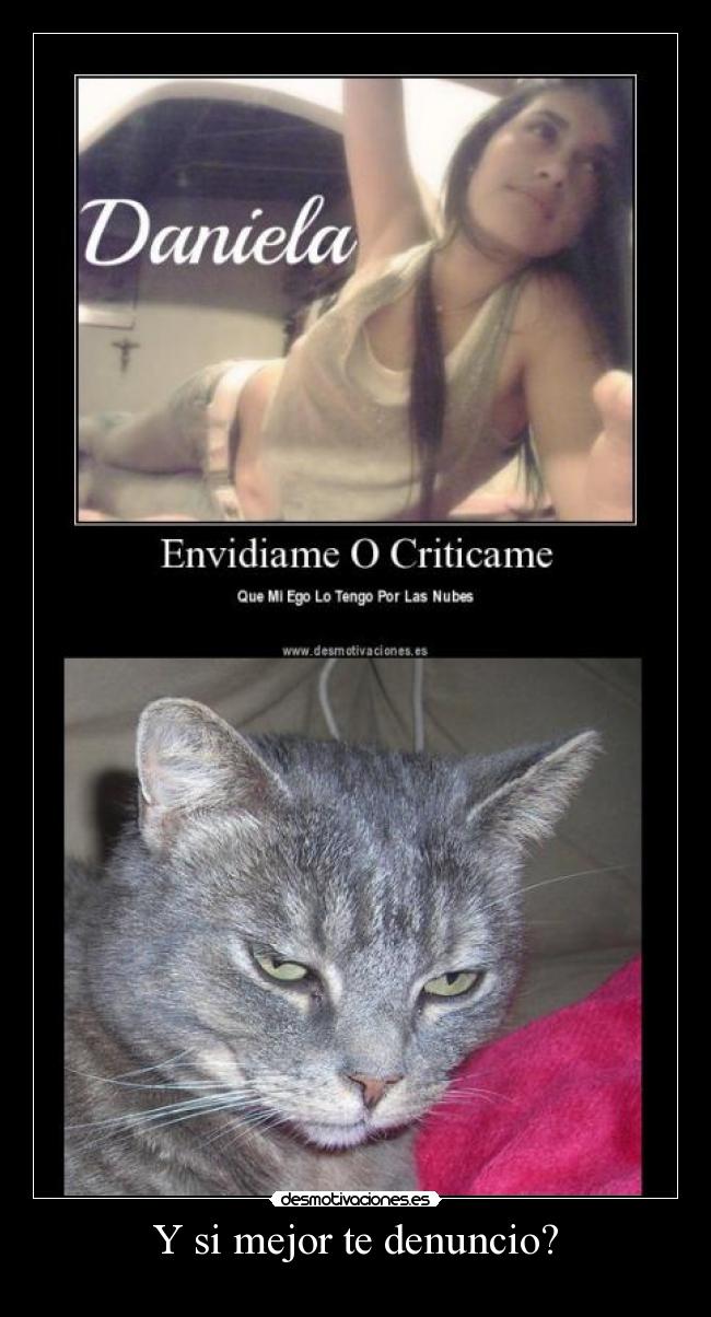 carteles gatosde cereal ataca nuevo desmotivaciones