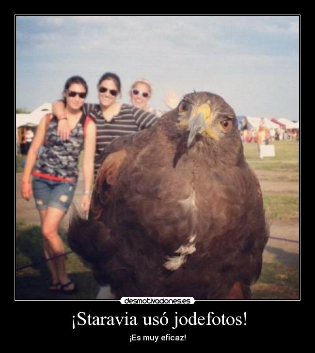 ¡Staravia usó jodefotos! - ¡Es muy eficaz!