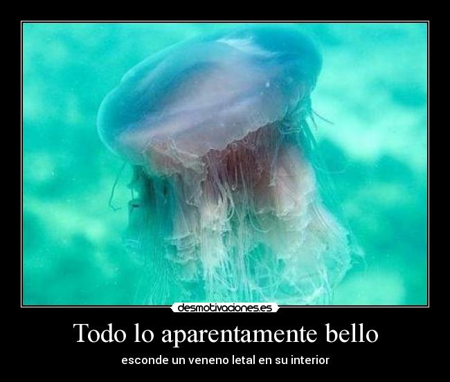 Todo lo aparentamente bello - esconde un veneno letal en su interior