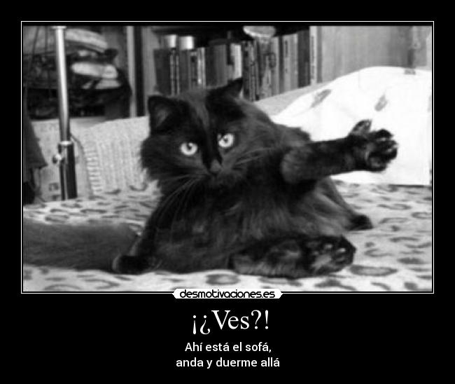carteles vite desmotivaciones