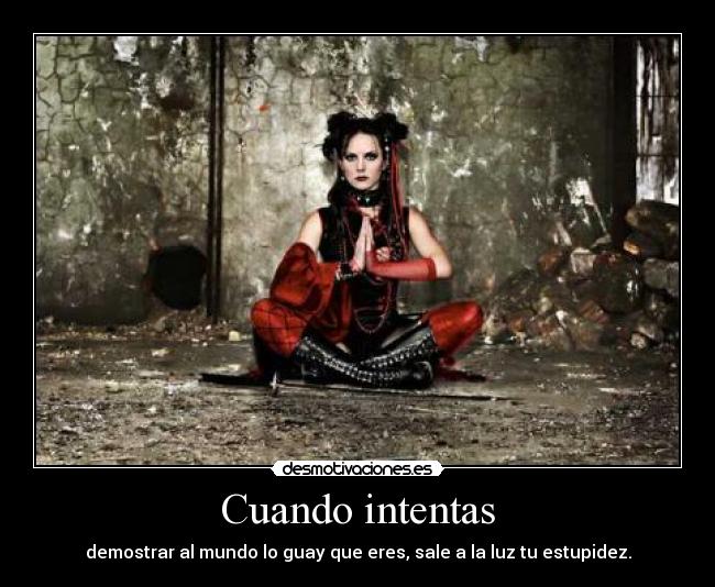 carteles porque nadie tiene que demostrar nada nadie efejota desmotivaciones