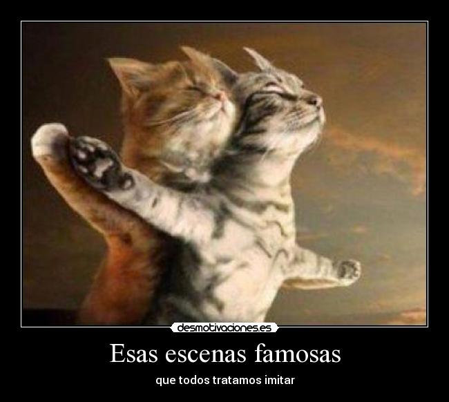 carteles escena titanic gatos desmotivaciones