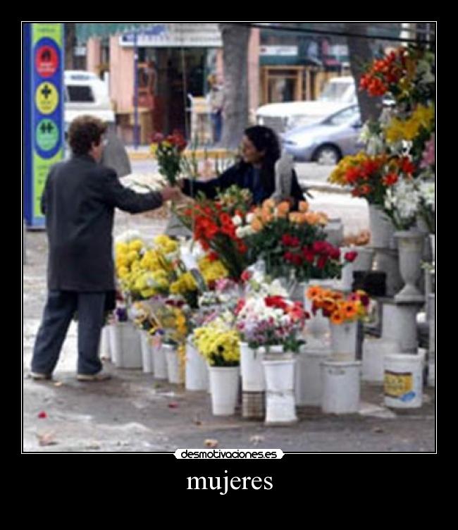 carteles florero desmotivaciones