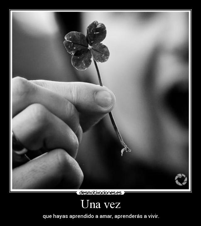 Una vez - que hayas aprendido a amar, aprenderás a vivir.
