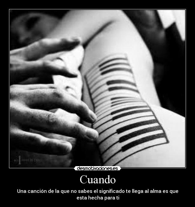 carteles chow chow desmotivaciones