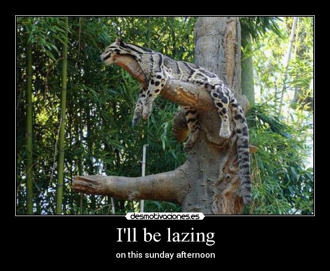 Ill be lazing - on this sunday afternoon