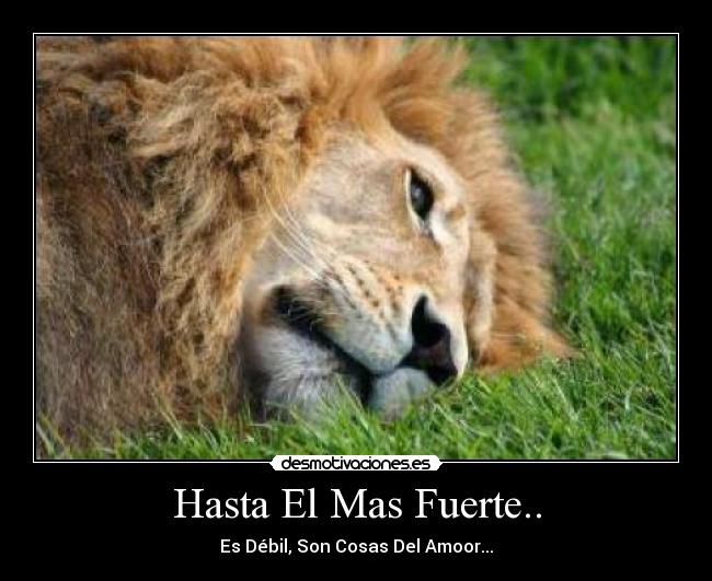 Hasta El Mas Fuerte.. - Es Débil, Son Cosas Del Amoor...