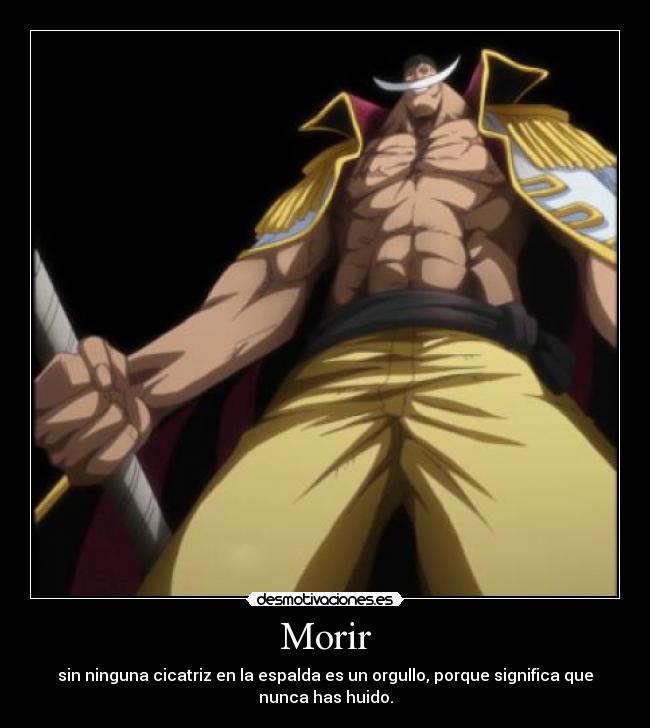 carteles shirohige mola mazo desmotivaciones