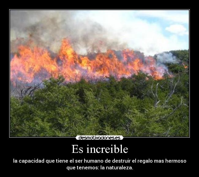 Es increible - la capacidad que tiene el ser humano de destruir el regalo mas hermoso
que tenemos: la naturaleza.