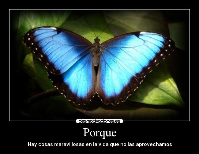 carteles porque hay cosas maravillosas vida que las aprovechamos desmotivaciones