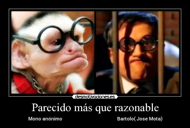 Parecido más que razonable - Mono anónimo                                               Bartolo( Jose Mota)