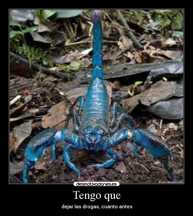 Tengo que - dejar las drogas, cuanto antes