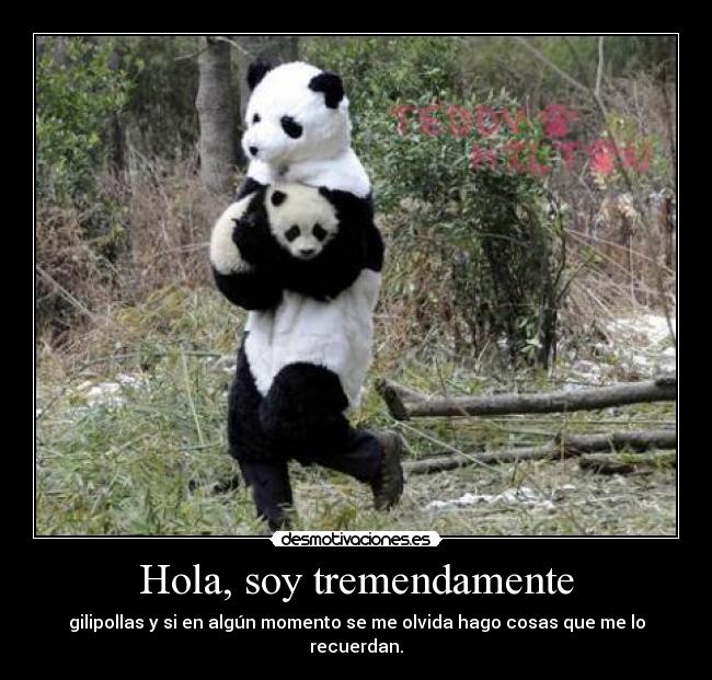 Hola, soy tremendamente - gilipollas y si en algún momento se me olvida hago cosas que me lo recuerdan.