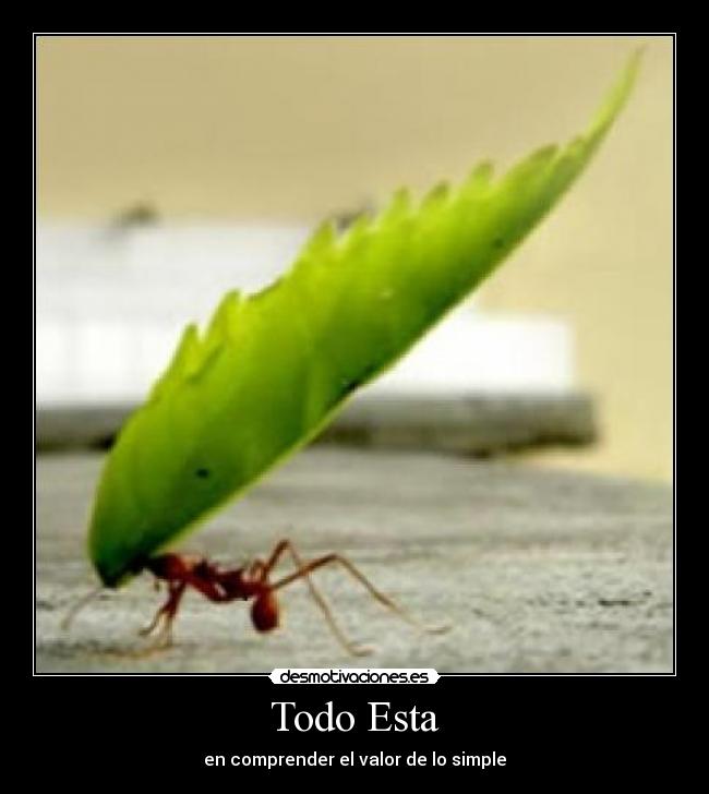 Todo Esta - en comprender el valor de lo simple