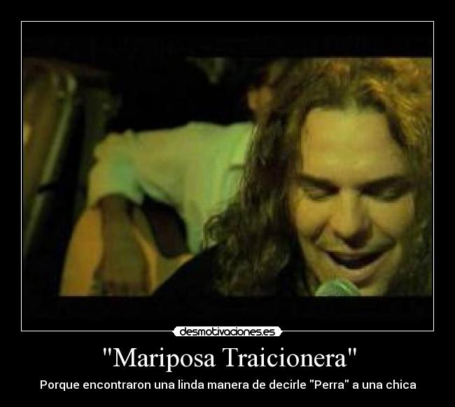 carteles mana mariposa traicionera perra porque encontraron una linda manera decirle perra una chica desmotivaciones
