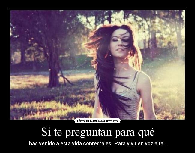 carteles que callen desmotivaciones