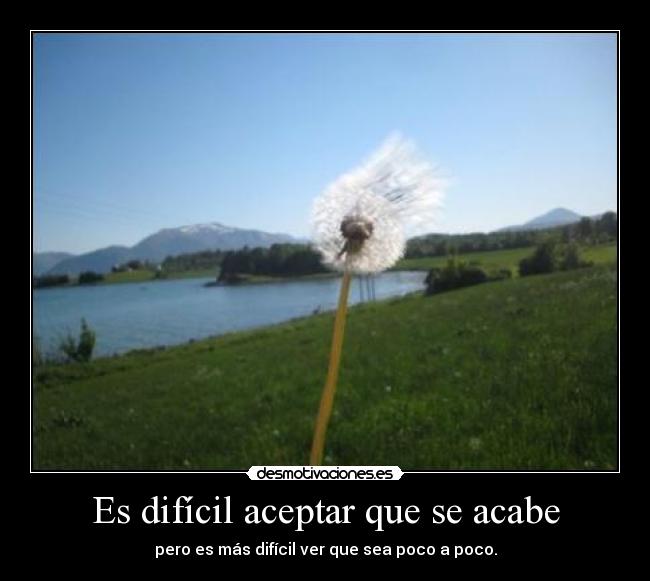 carteles mmmm si efecto ando tristeando poco poquito nada mas desmotivaciones