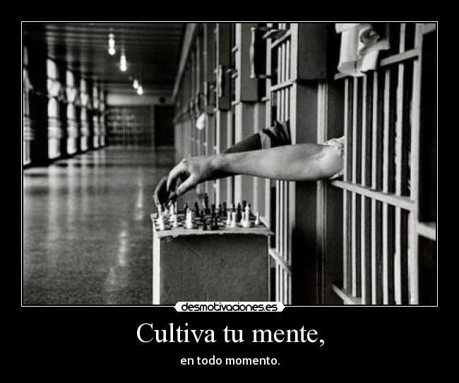 Cultiva tu mente, - en todo momento.