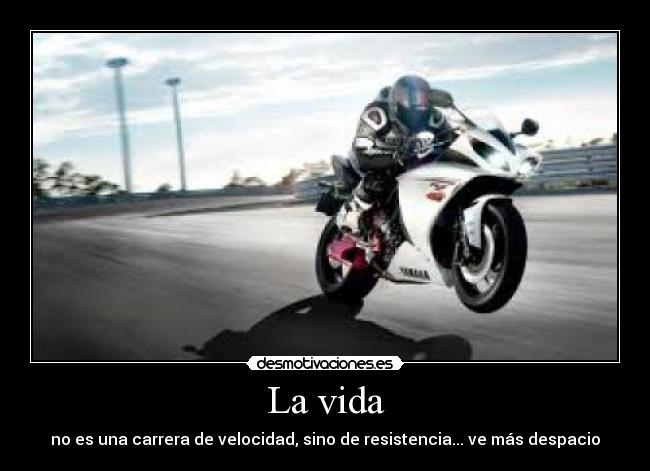 La vida - no es una carrera de velocidad, sino de resistencia... ve más despacio
