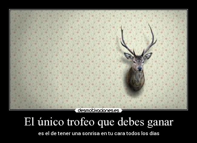 carteles trofeo ganar deber cara dia sonrisa ely desmotivaciones