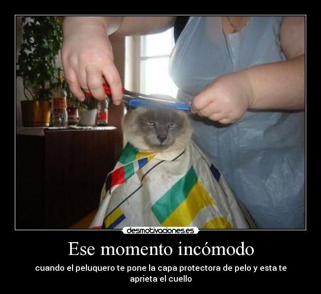 Ese momento incómodo - 