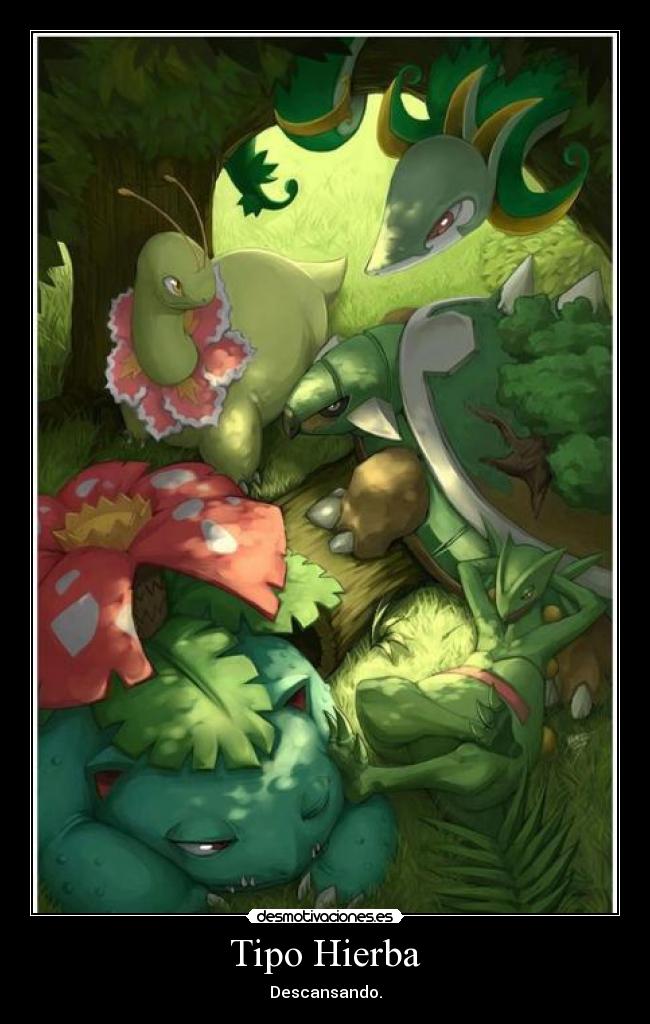carteles pokemon anime anime otaku pokemon descansar venusaur meganium sceptile torterra serperior hierba desmotivaciones