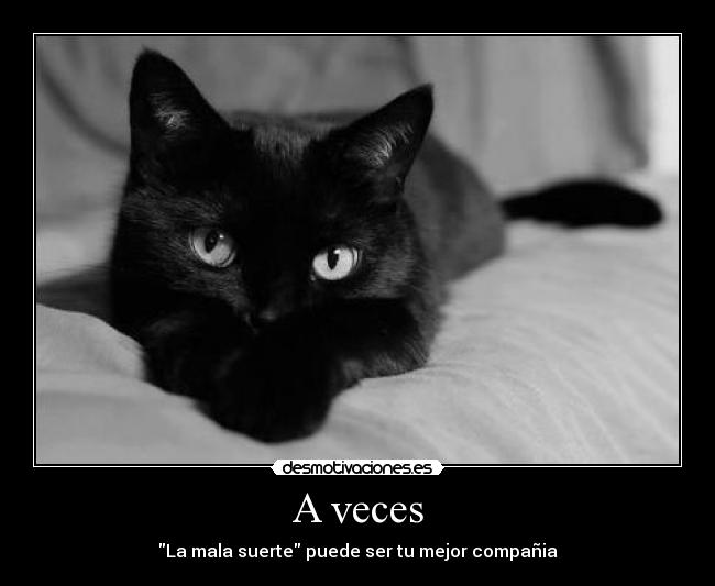 carteles vanete princii princii porfavor walt que amo desmotivaciones