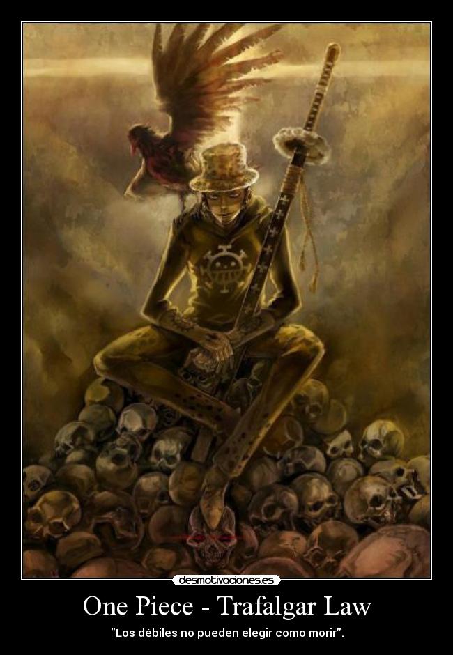 carteles one piece trafalgar law capitan tashigi ronoa carteles propina desmotivaciones