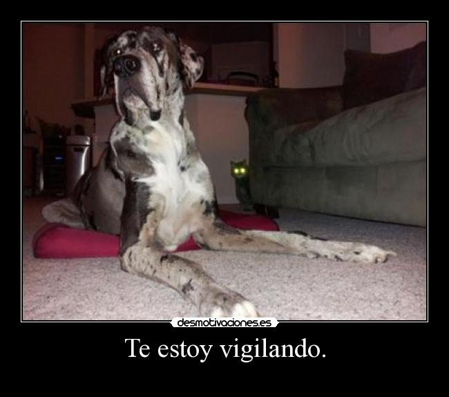 Te estoy vigilando. - 