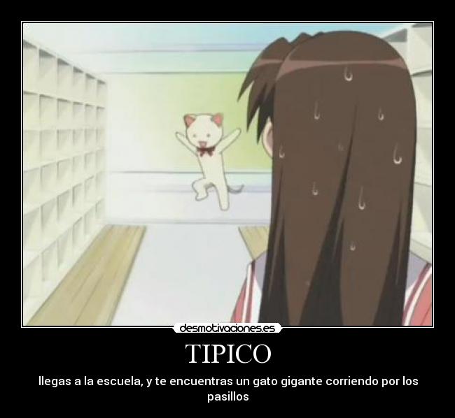 carteles tipico gatosgigante azumanga daioh desmotivaciones