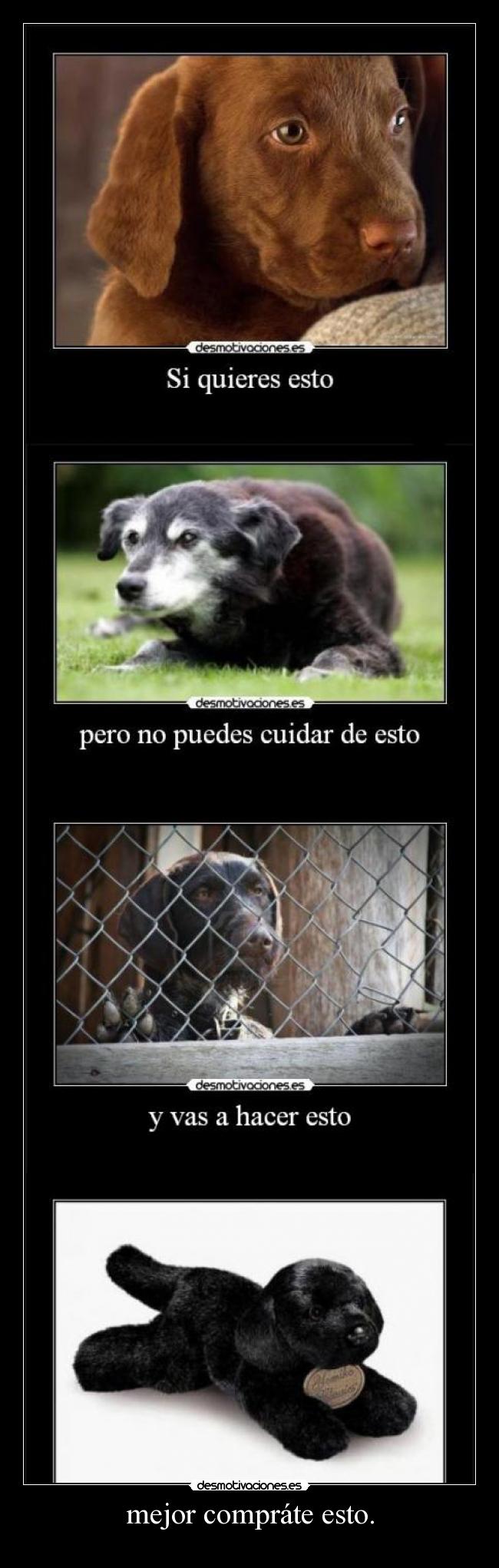 carteles 9gag desmotivaciones