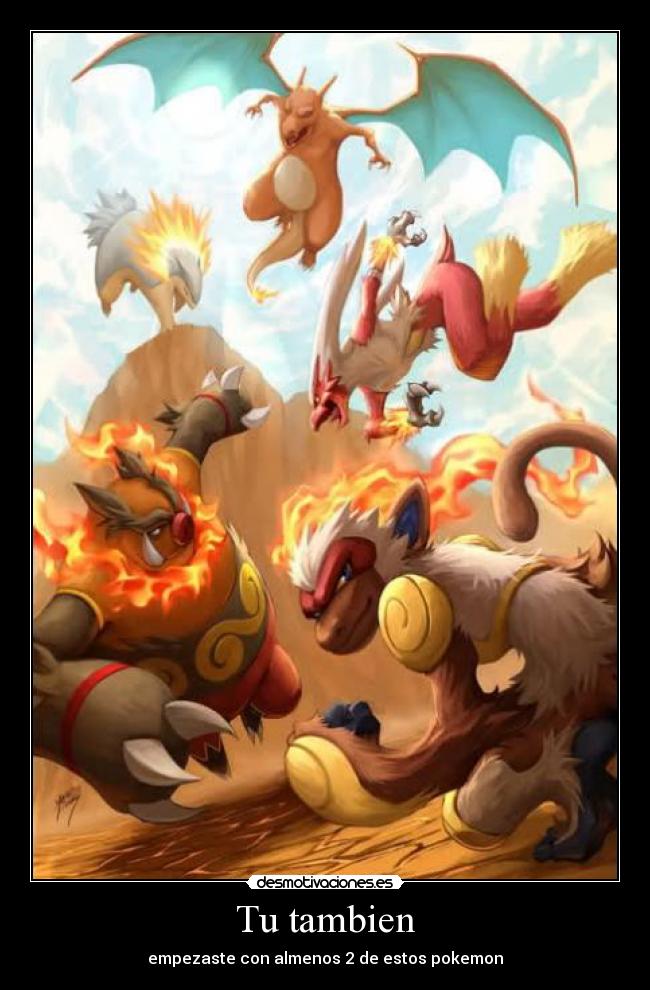 carteles charizard typhlosion blaziken infernape emboar desmotivaciones