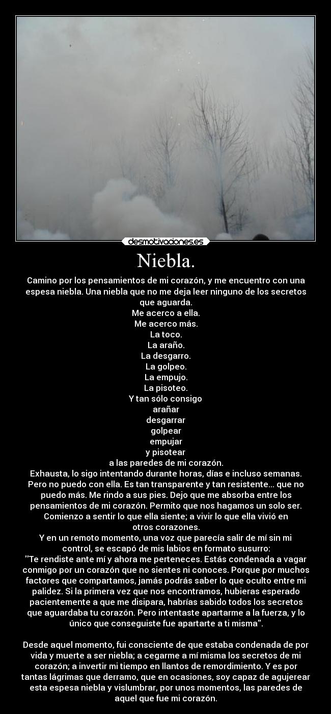 Niebla. - Camino por los pensamientos de mi corazón, y me encuentro con una
espesa niebla. Una niebla que no me deja leer ninguno de los secretos
que aguarda.
Me acerco a ella.
Me acerco más.
La toco.
La araño.
La desgarro.
La golpeo.
La empujo.
La pisoteo.
Y tan sólo consigo
arañar
desgarrar
golpear
empujar
y pisotear
a las paredes de mi corazón.
Exhausta, lo sigo intentando durante horas, días e incluso semanas.
Pero no puedo con ella. Es tan transparente y tan resistente... que no
puedo más. Me rindo a sus pies. Dejo que me absorba entre los
pensamientos de mi corazón. Permito que nos hagamos un solo ser.
Comienzo a sentir lo que ella siente; a vivir lo que ella vivió en
otros corazones.
Y en un remoto momento, una voz que parecía salir de mí sin mi
control, se escapó de mis labios en formato susurro:
Te rendiste ante mí y ahora me perteneces. Estás condenada a vagar
conmigo por un corazón que no sientes ni conoces. Porque por muchos
factores que compartamos, jamás podrás saber lo que oculto entre mi
palidez. Si la primera vez que nos encontramos, hubieras esperado
pacientemente a que me disipara, habrías sabido todos los secretos
que aguardaba tu corazón. Pero intentaste apartarme a la fuerza, y lo
único que conseguiste fue apartarte a ti misma.

Desde aquel momento, fui consciente de que estaba condenada de por
vida y muerte a ser niebla; a cegarme a mí misma los secretos de mi
corazón; a invertir mi tiempo en llantos de remordimiento. Y es por
tantas lágrimas que derramo, que en ocasiones, soy capaz de agujerear
esta espesa niebla y vislumbrar, por unos momentos, las paredes de
aquel que fue mi corazón.