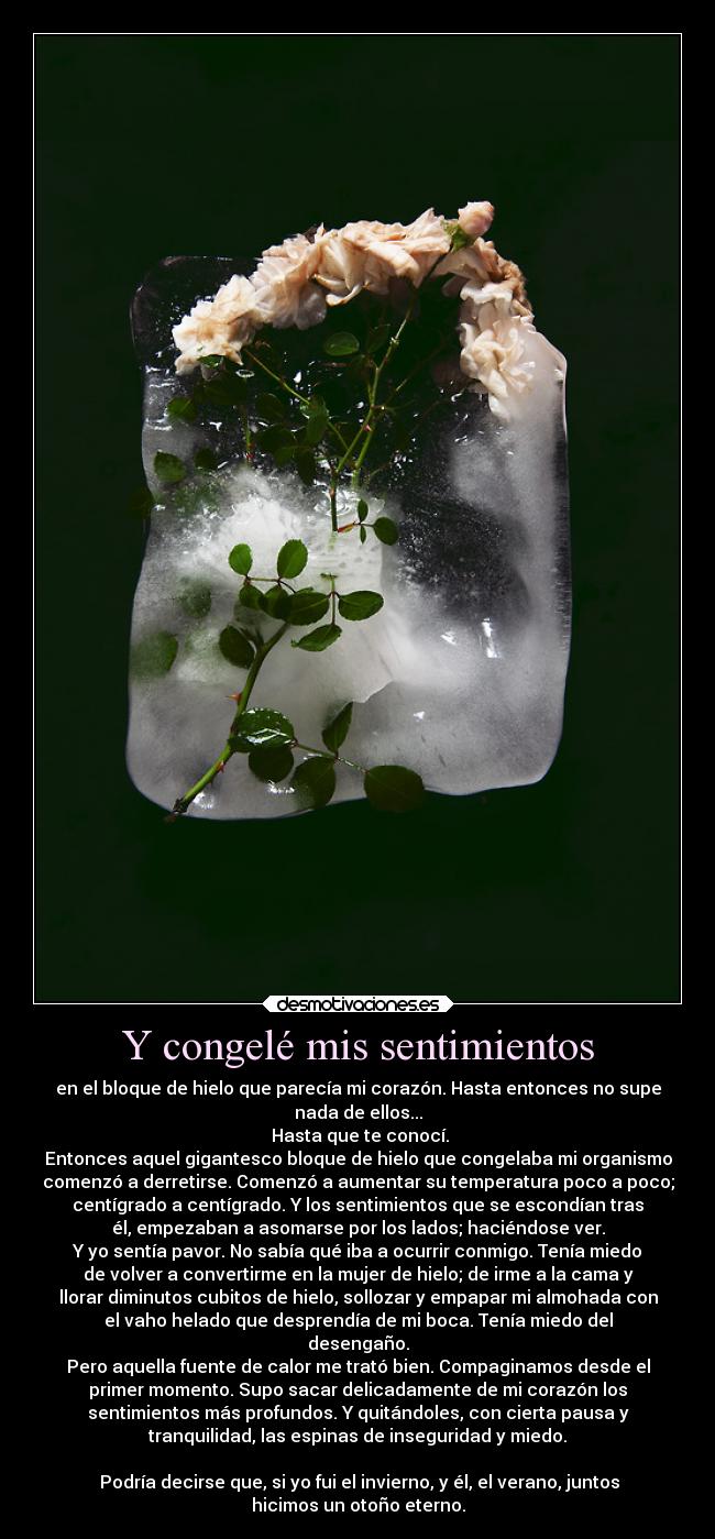 Y congelé mis sentimientos - en el bloque de hielo que parecía mi corazón. Hasta entonces no supe
nada de ellos...
 Hasta que te conocí.
Entonces aquel gigantesco bloque de hielo que congelaba mi organismo
comenzó a derretirse. Comenzó a aumentar su temperatura poco a poco;
centígrado a centígrado. Y los sentimientos que se escondían tras
él, empezaban a asomarse por los lados; haciéndose ver.
Y yo sentía pavor. No sabía qué iba a ocurrir conmigo. Tenía miedo
de volver a convertirme en la mujer de hielo; de irme a la cama y
llorar diminutos cubitos de hielo, sollozar y empapar mi almohada con
el vaho helado que desprendía de mi boca. Tenía miedo del
desengaño.
Pero aquella fuente de calor me trató bien. Compaginamos desde el
primer momento. Supo sacar delicadamente de mi corazón los
sentimientos más profundos. Y quitándoles, con cierta pausa y
tranquilidad, las espinas de inseguridad y miedo.

 Podría decirse que, si yo fui el invierno, y él, el verano, juntos
hicimos un otoño eterno.