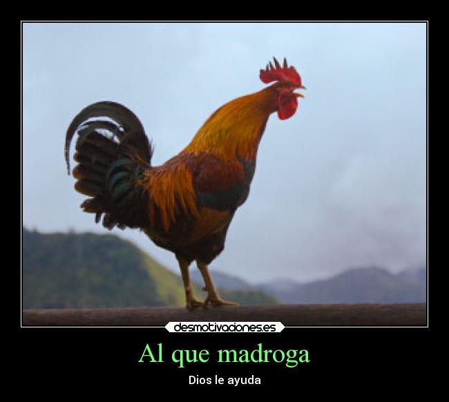 Al que madroga - Dios le ayuda
