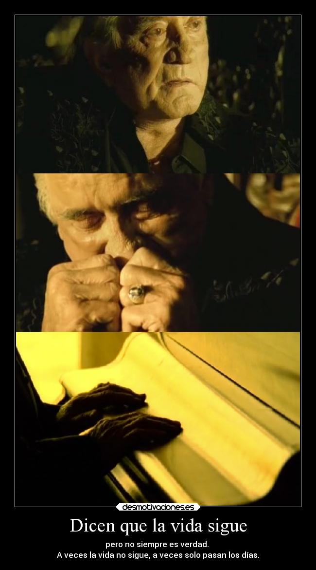 carteles vida assange julian assange encanta romantico nostalgia desmotivaciones