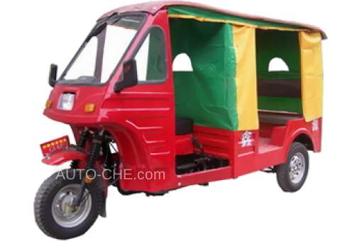 Auto Rickshaw Trike